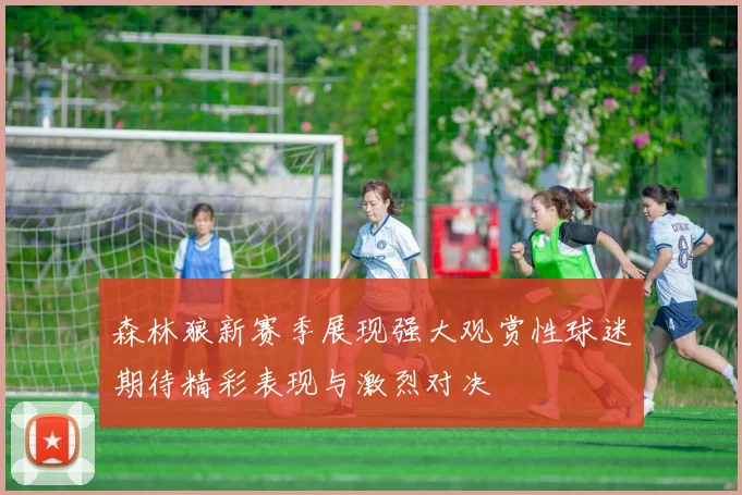 森林狼新赛季展现强大观赏性球迷期待精彩表现与激烈对决