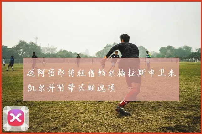 迈阿密即将租借帕尔梅拉斯中卫米凯尔并附带买断选项