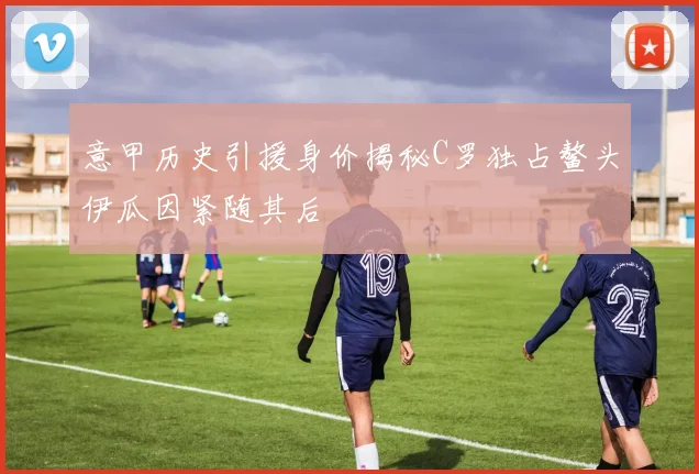 意甲历史引援身价揭秘C罗独占鳌头伊瓜因紧随其后