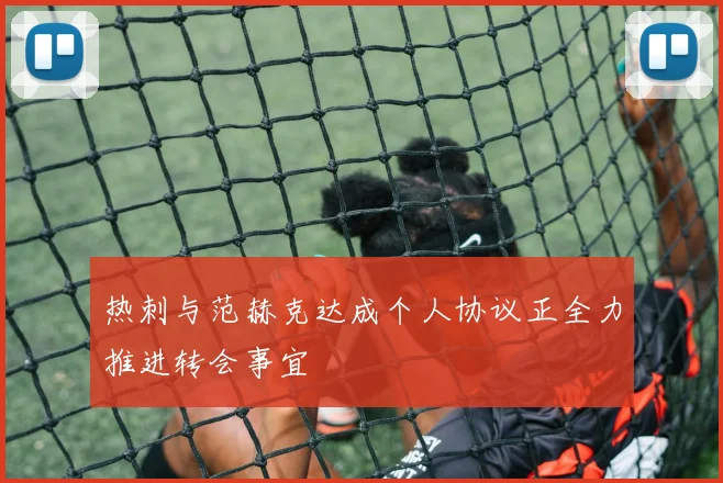 热刺与范赫克达成个人协议正全力推进转会事宜